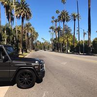 Отзыв от Роман - виза ДТВ